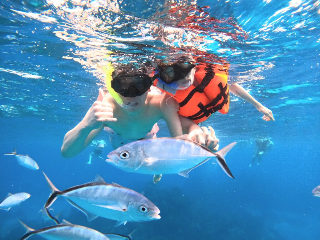 Snorkeling in Cozumel during our 2-week Mexico itinerary, spotting plenty of fish in the clear Caribbean waters