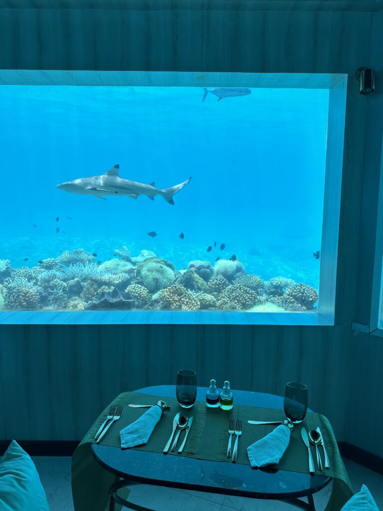 M6m, the underwater restaurant at Ozen Life Maadhoo, offers a unique fine dining experience with wine pairings included, surrounded by breathtaking marine life.