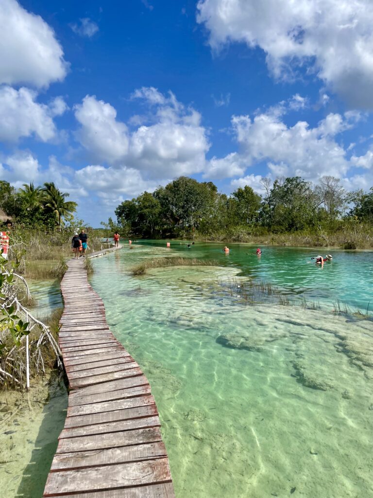 Wooden pathway leading to the starting point of the river, surrounded by lush greenery and natural beauty.