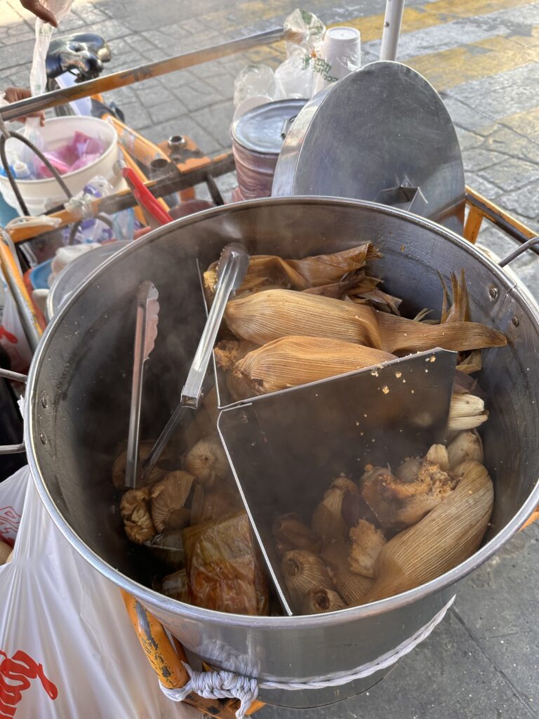 Savour the authentic taste of tamales from a street vendor in Oaxaca, filled with savoury fillings like chicken, mole, and cheese, wrapped in corn husks
