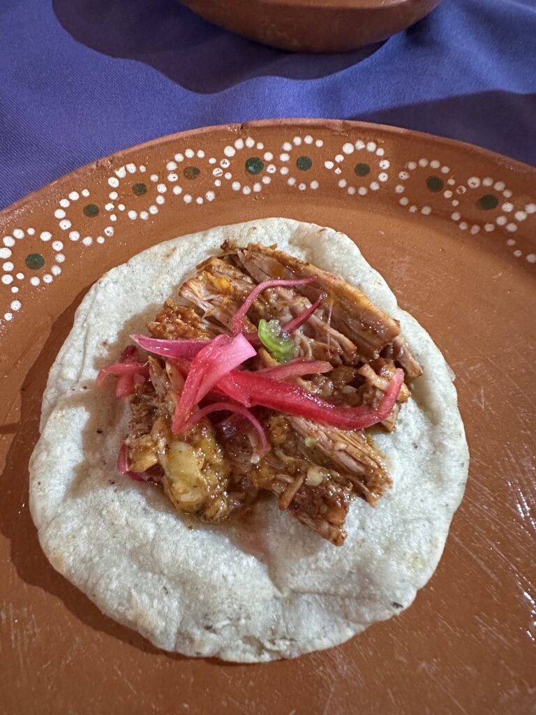 Savour the rich flavours of regional Mexican dishes prepared by Rosalía Chay, offering an unforgettable culinary experience in Mexico