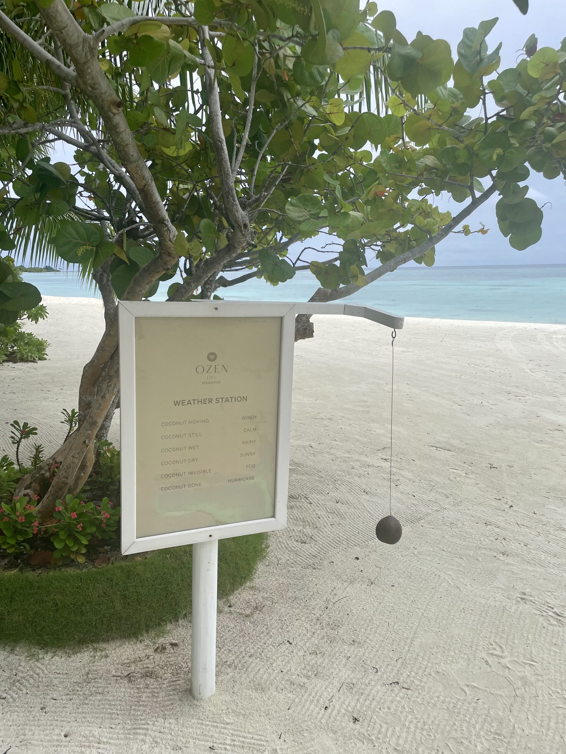 Discover the fascinating coconut weather station at Ozen – a simple yet effective way to forecast the island’s weather in the Maldives.