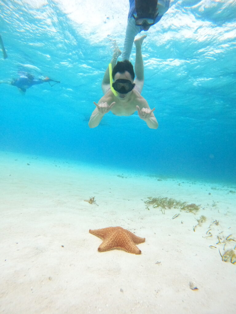 Snorkeling in Cozumel during our 2-week Mexico itinerary, spotting vibrant starfish in the clear Caribbean waters