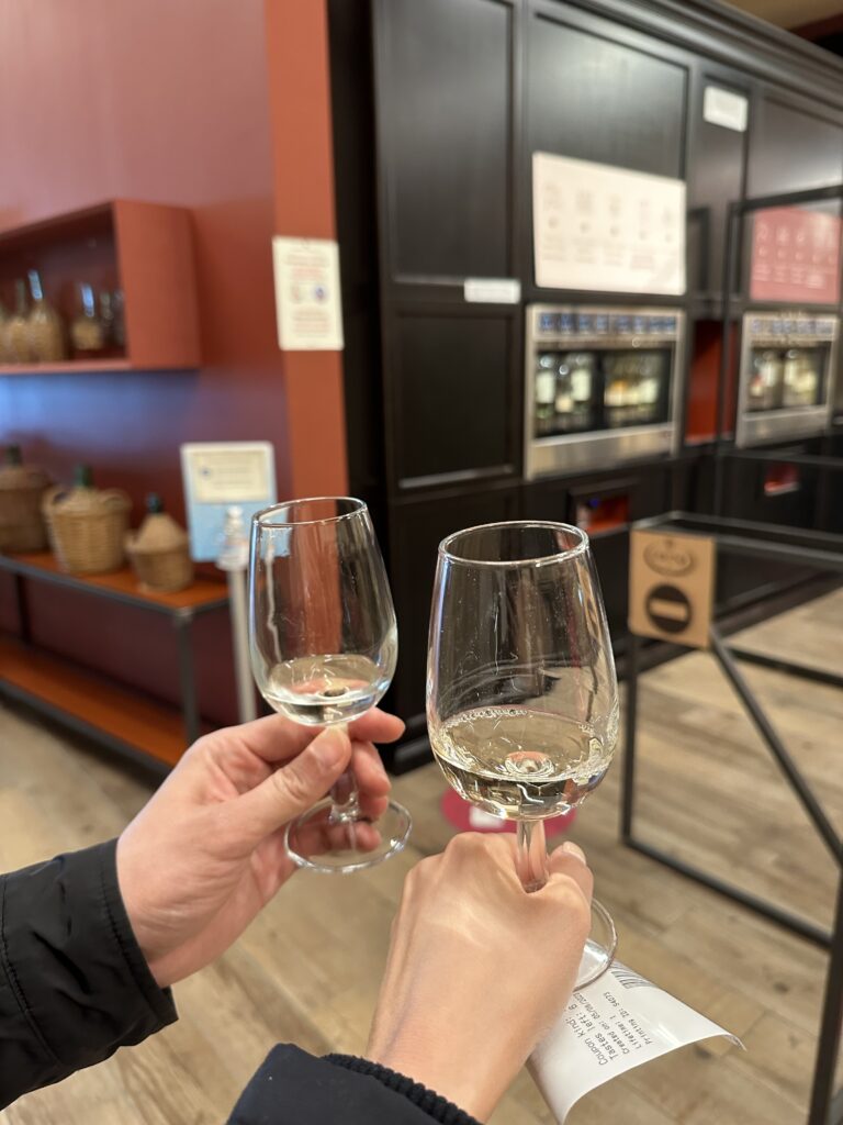 Wine tasting at Guerrieri Rizzardi Winery with selection of red and white wines. Visiting Bardolino wine region of Italy is one of the top things in Lake Garda.