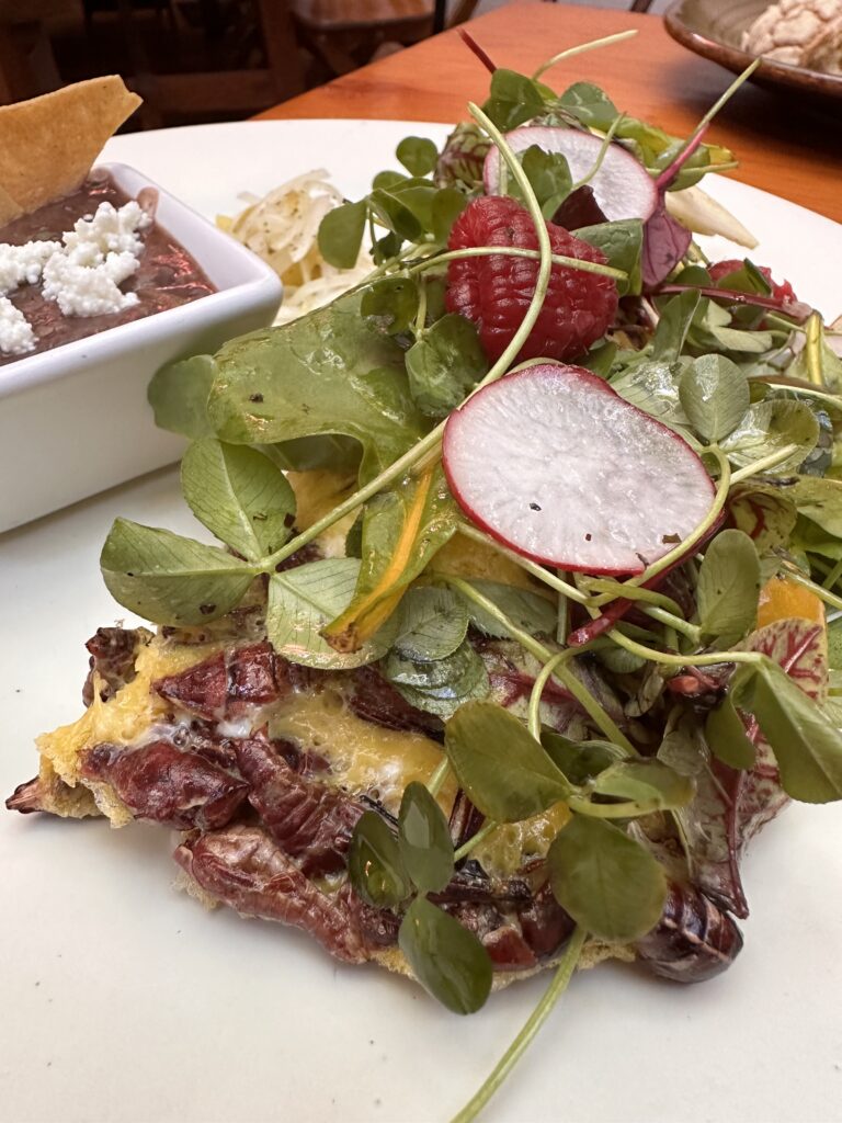 Delicious omelette with chapulines (crispy grasshoppers) for an authentic Oaxacan flavor experience.