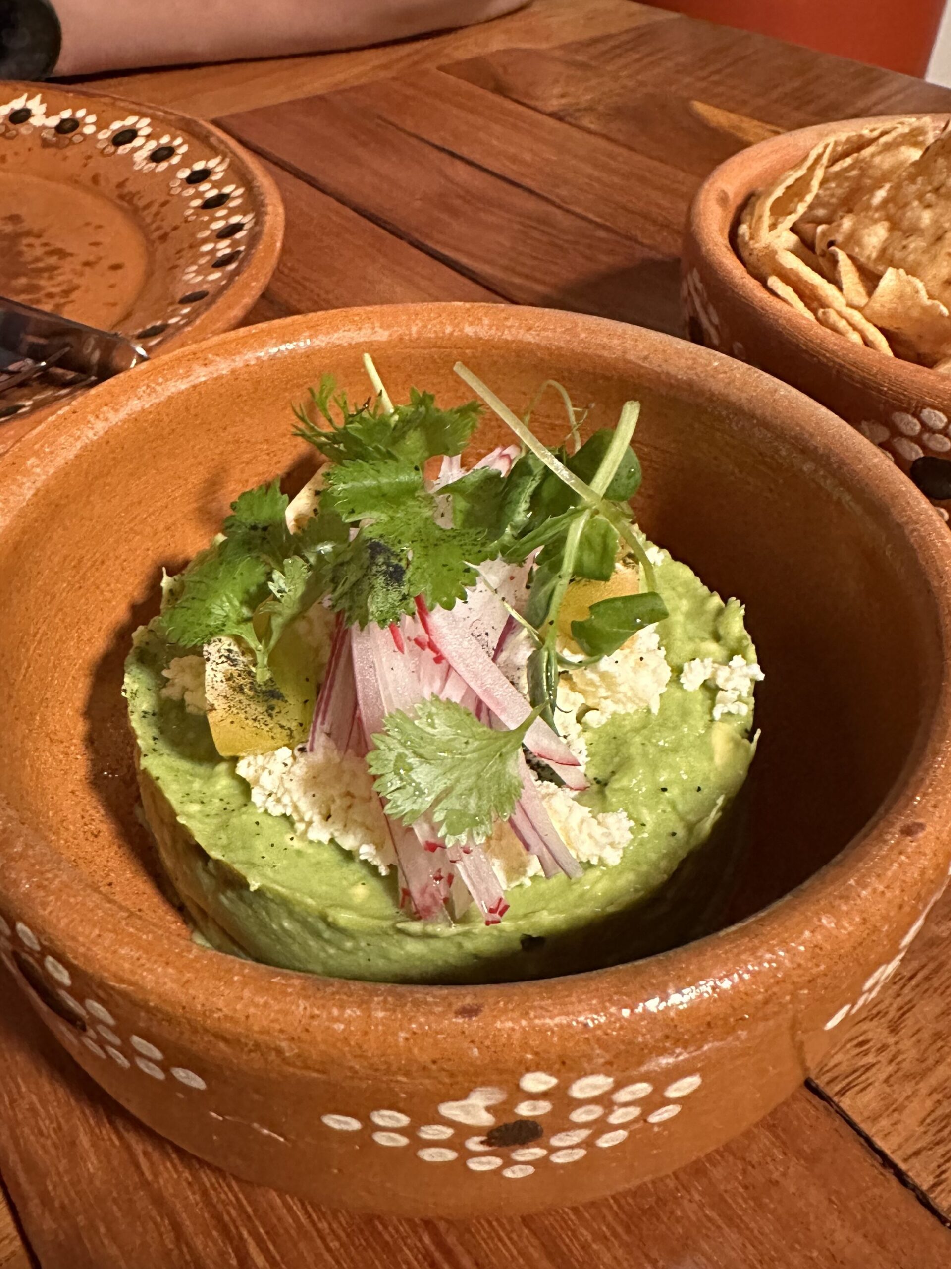 Freshly made guacamole with ripe avocados, lime, and cilantro—our first and best in Mexico. First guacamole and best one in our 2 week Mexico itinerary.