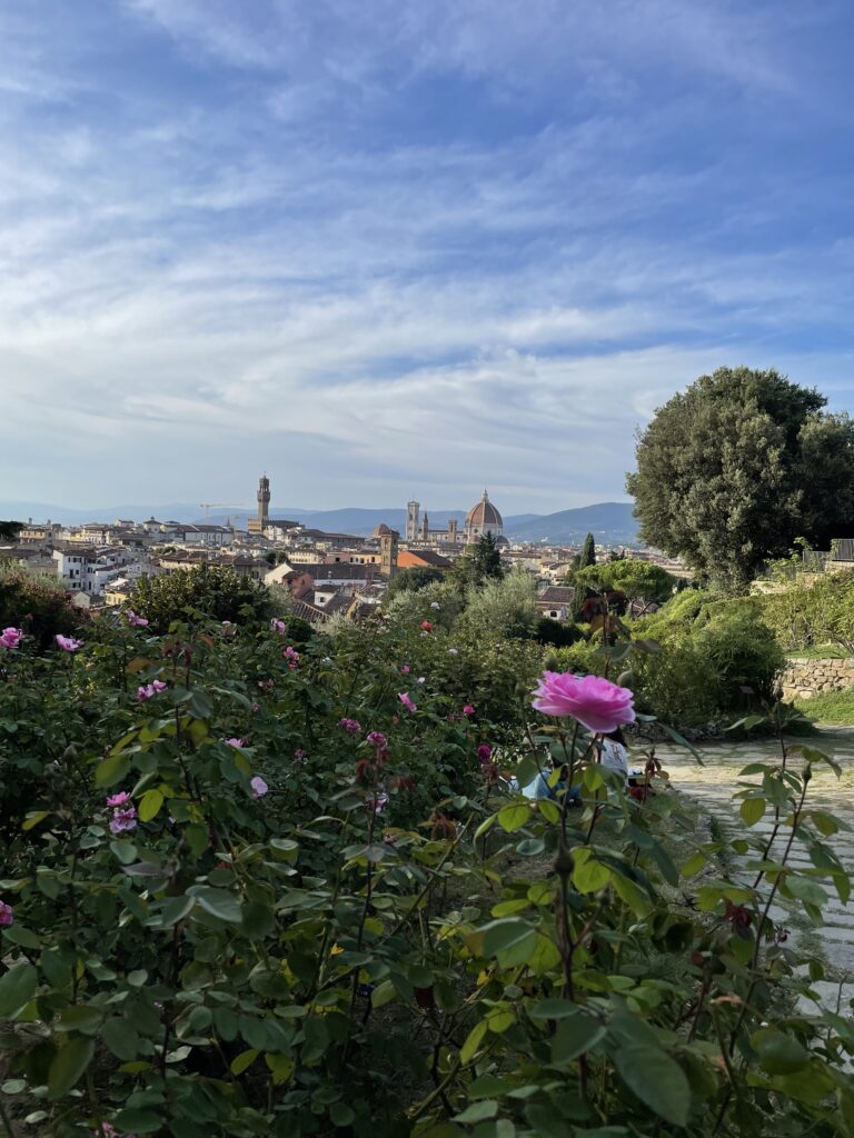 Blooming roses at the Florence Rose Garden with panoramic views of the city skyline