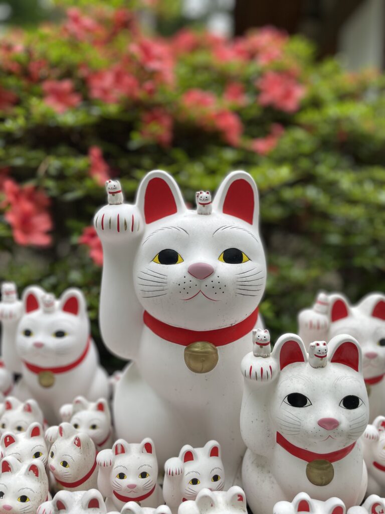 Travelers taking photos with beckoning cats at Gotokuji Temple Tokyo Japan