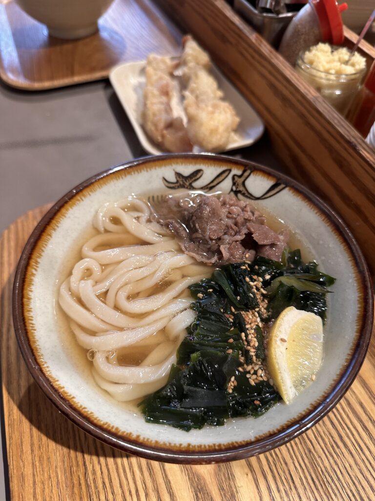 Bowl of udon — simple and satisfying at Udon Kyutaro