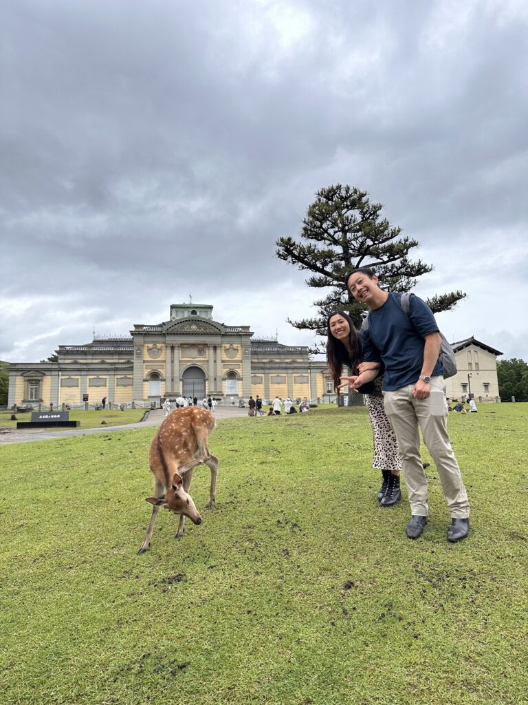 Friendly deer approaching visitors for biscuits in Nara, Japan